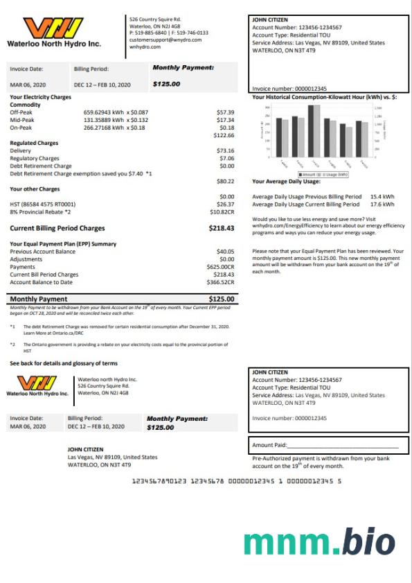 USA Nevada Waterloo North Hydro rachunek za media szablon w formacie Word i PDF